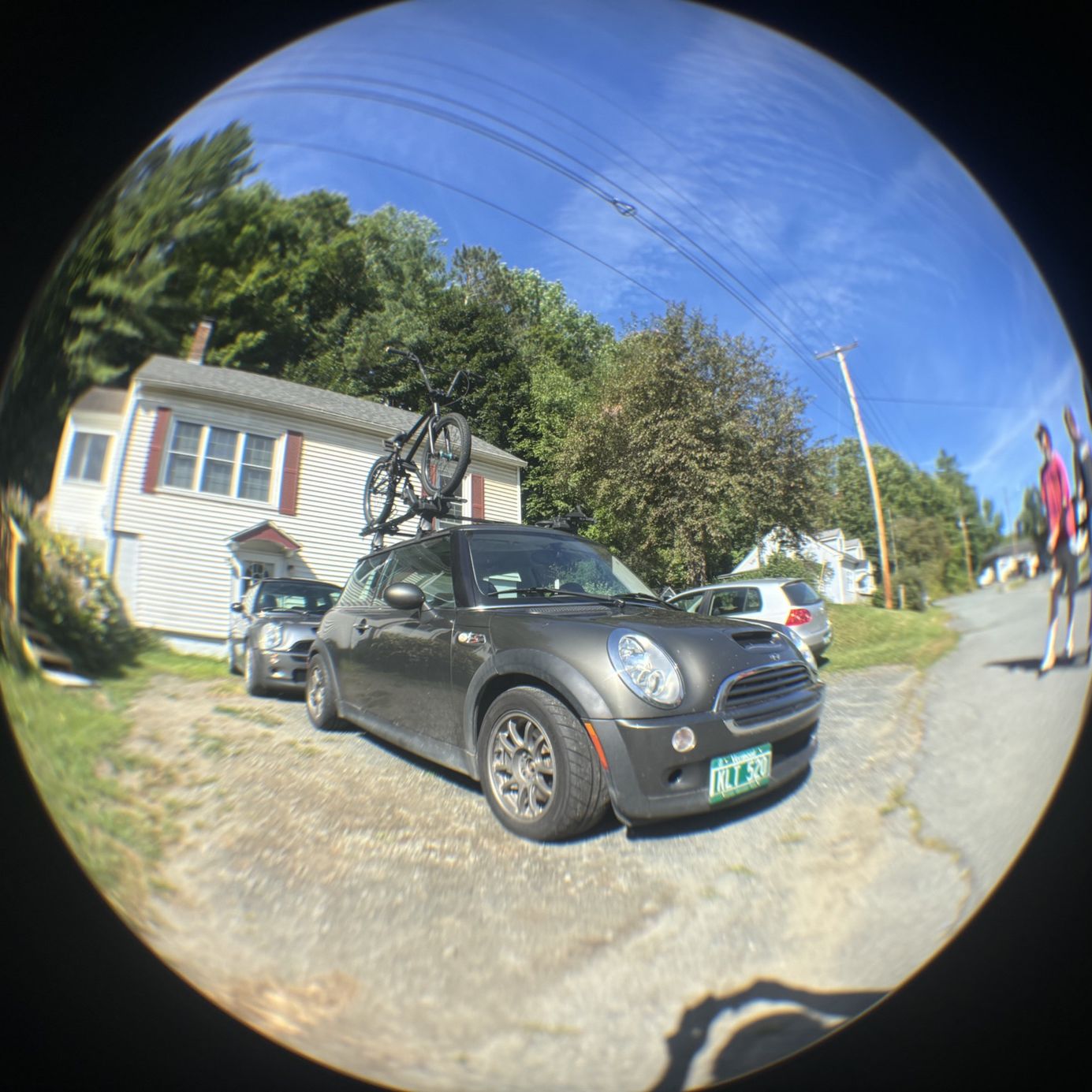 Profile of Miles Yetman