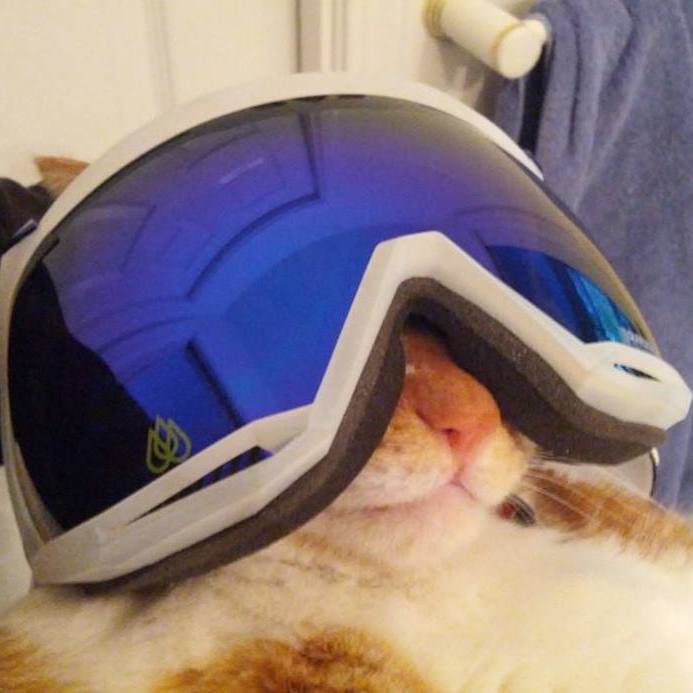 Profile of Peter Lee