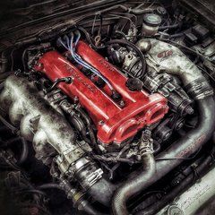 Profile of Stephen Carr