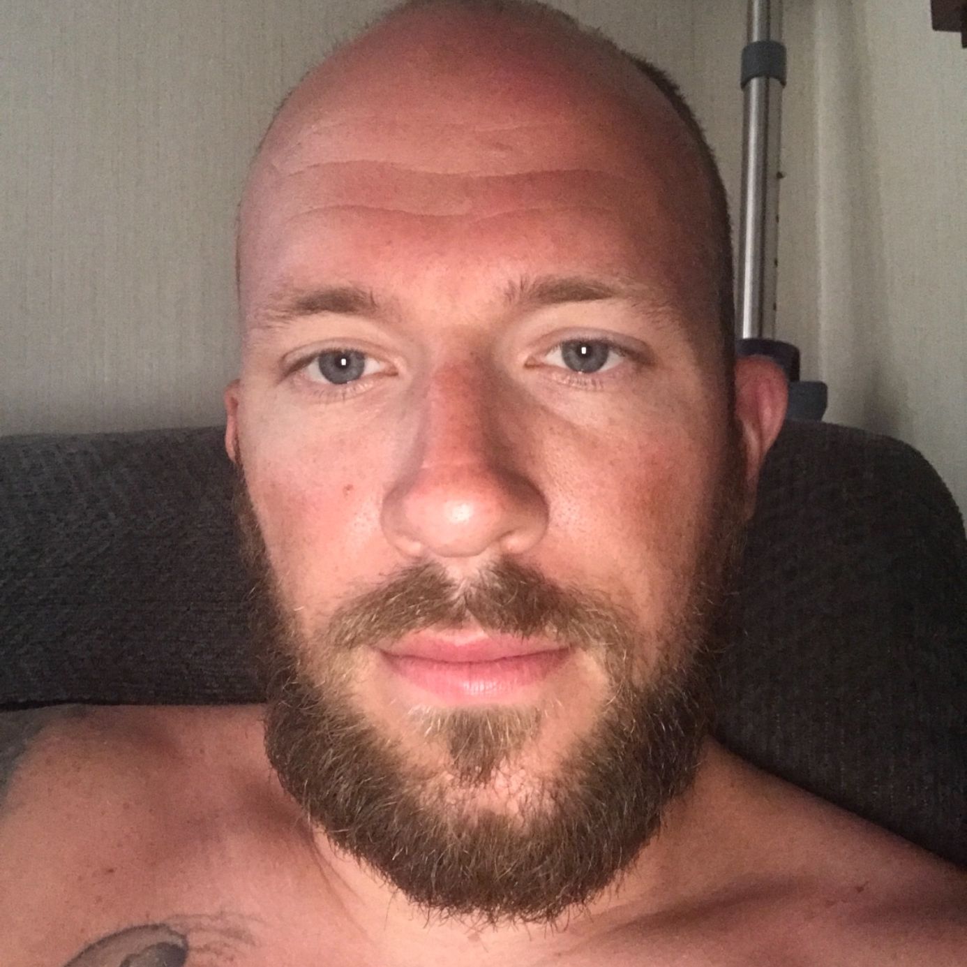 Profile of Brandon Frey