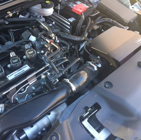 Profile of Will Swartz