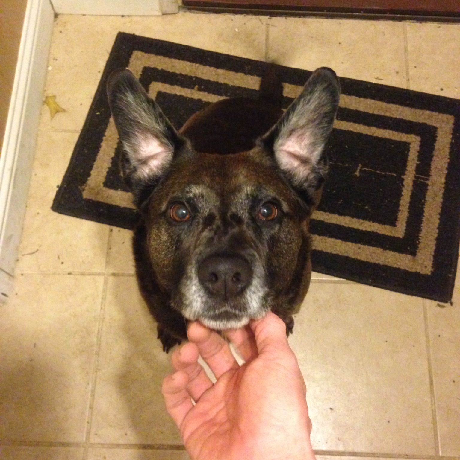 Profile of Glen Enzfelder