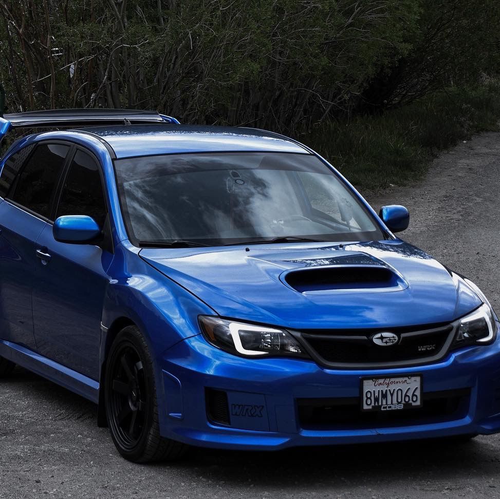 Profile of Elvis Cortez