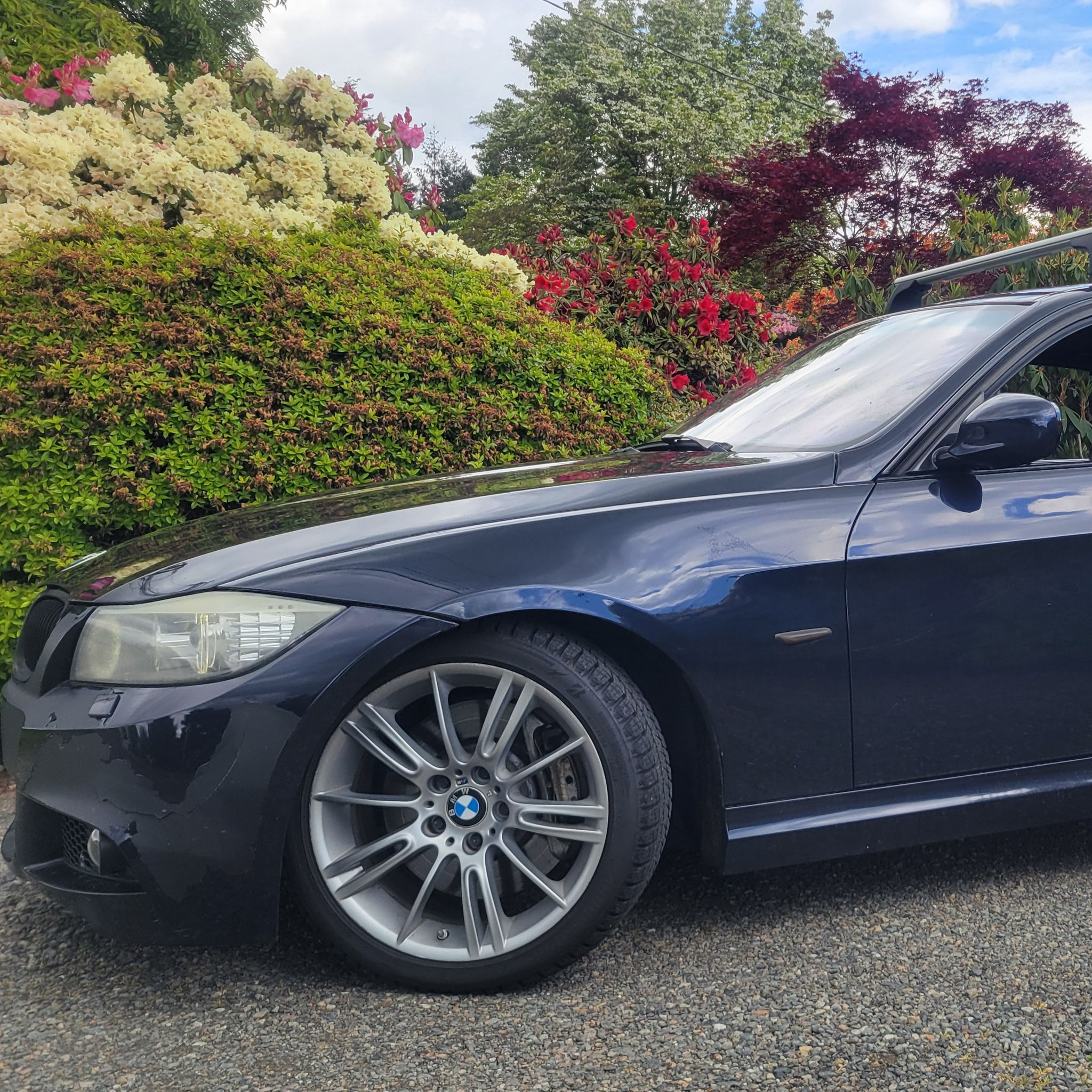 Profile of Mike Mash