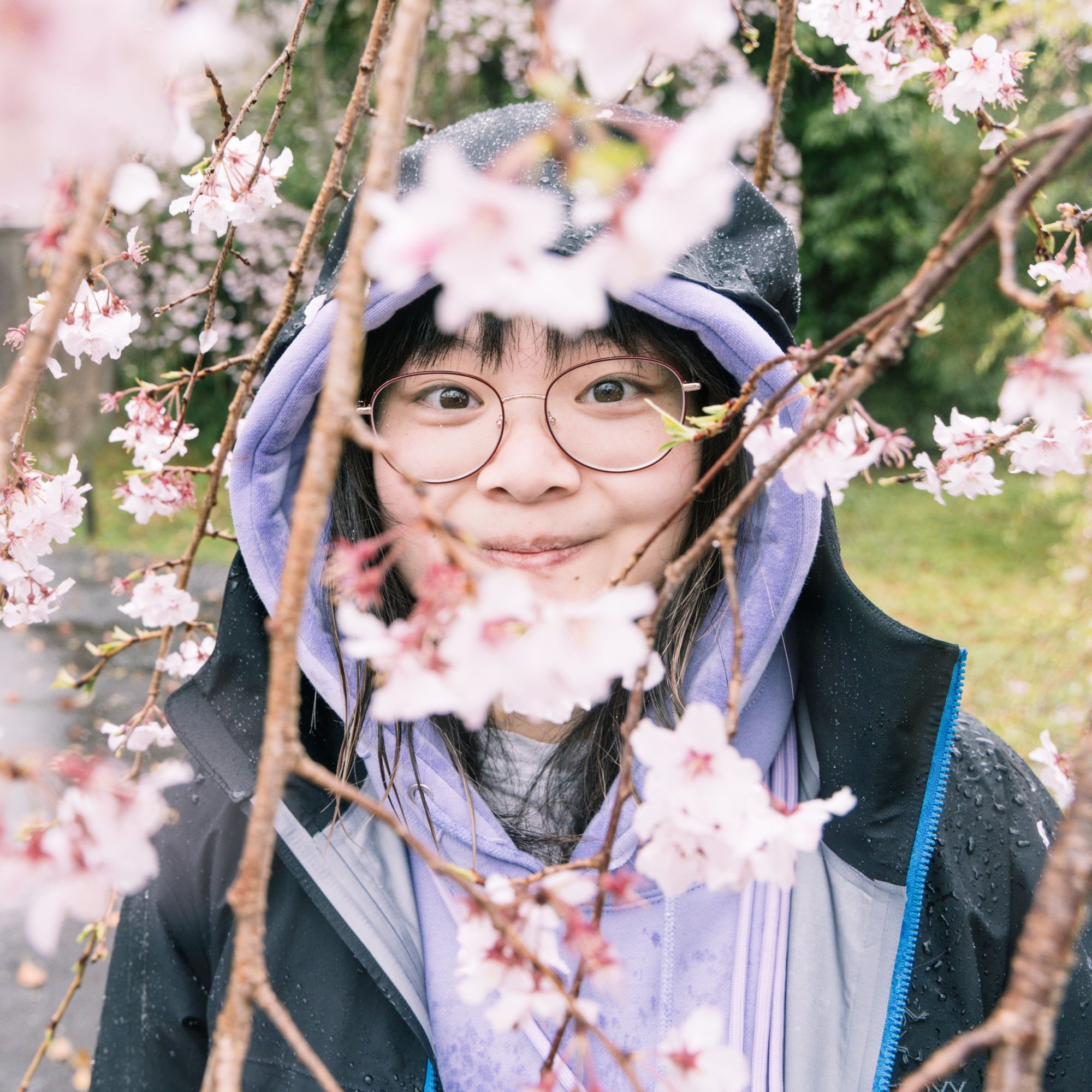 Profile of Elaine Wong