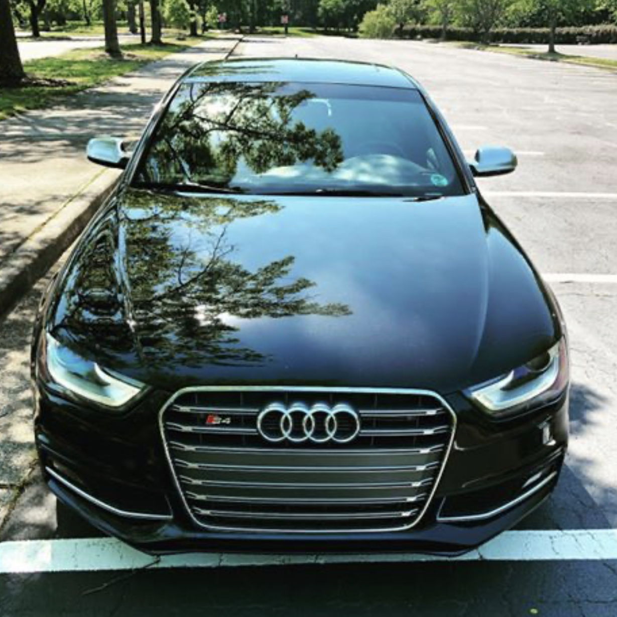 Profile of Elias Pichardo