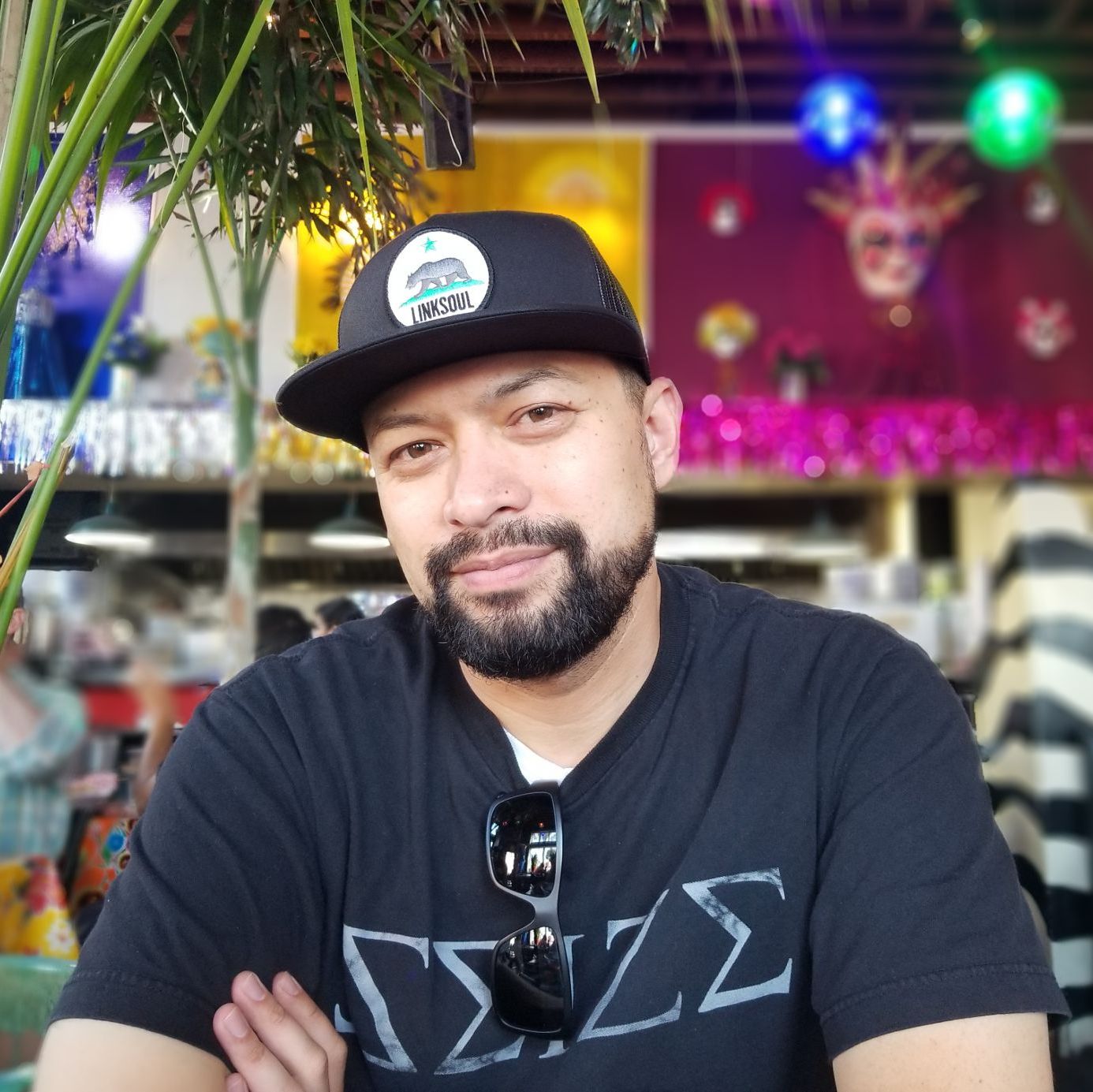 Profile of Peter Novak