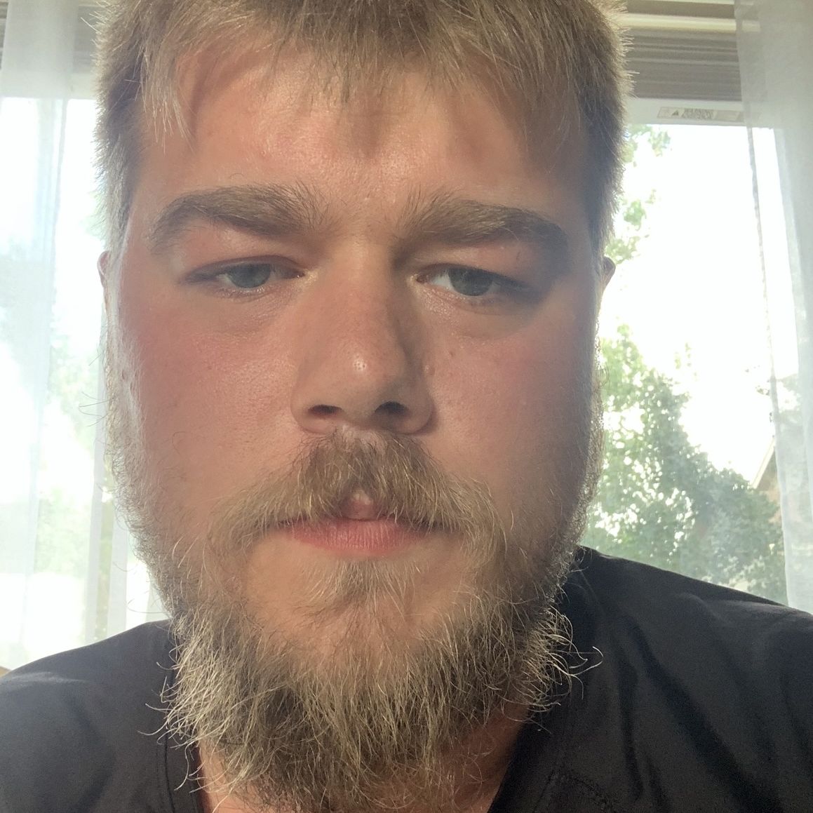 Profile of Andrei Matache