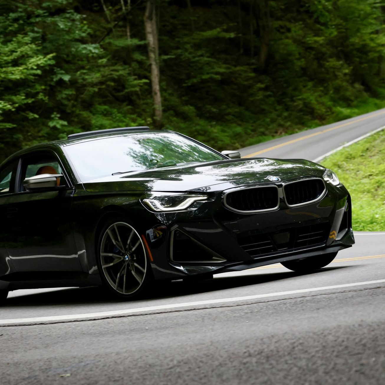 Profile of Reza Atabaki