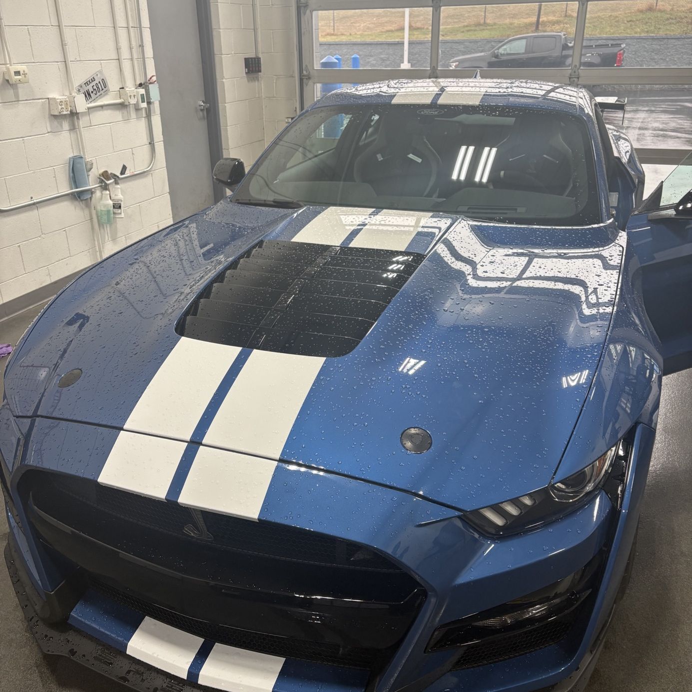 Profile of Ben Graupner