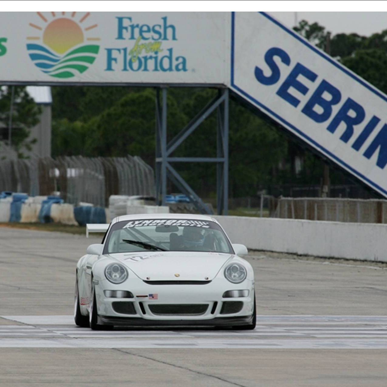 Profile of Robert Squicciarini