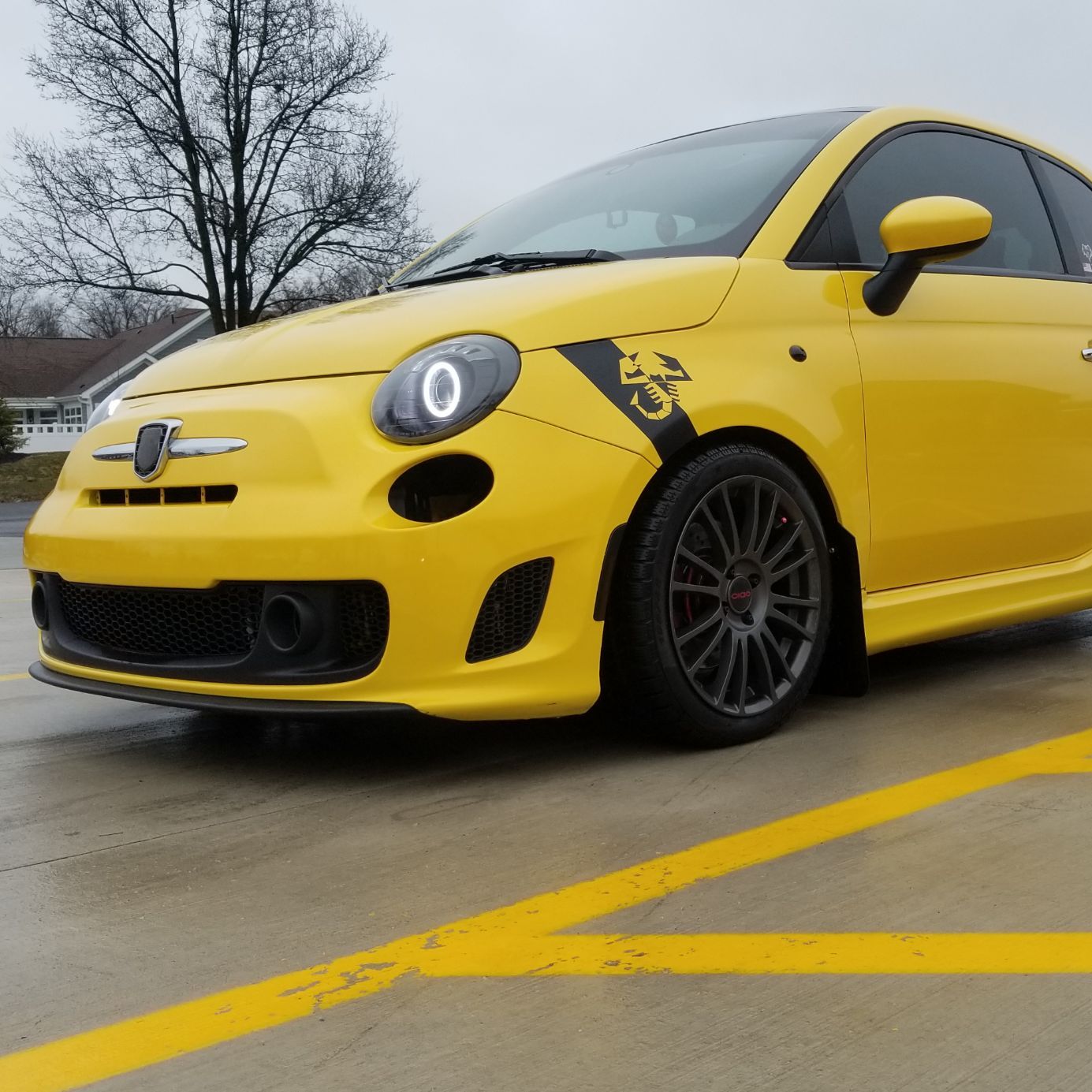 Profile of Paul Perger