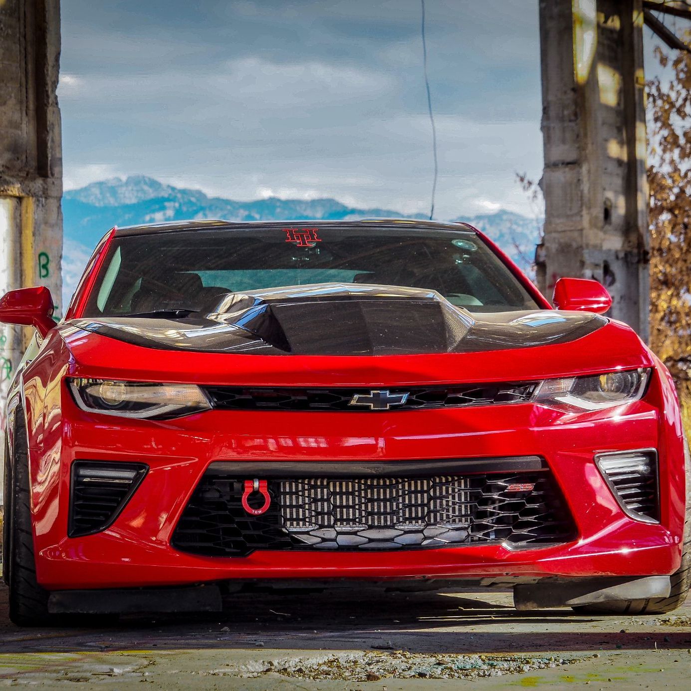 Profile of Jared Royce