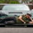 Profile of Seth Monteleone