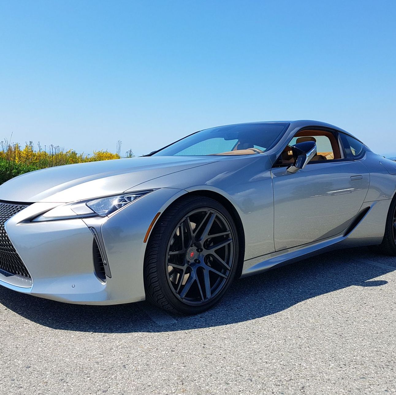 Profile of Steven Pang