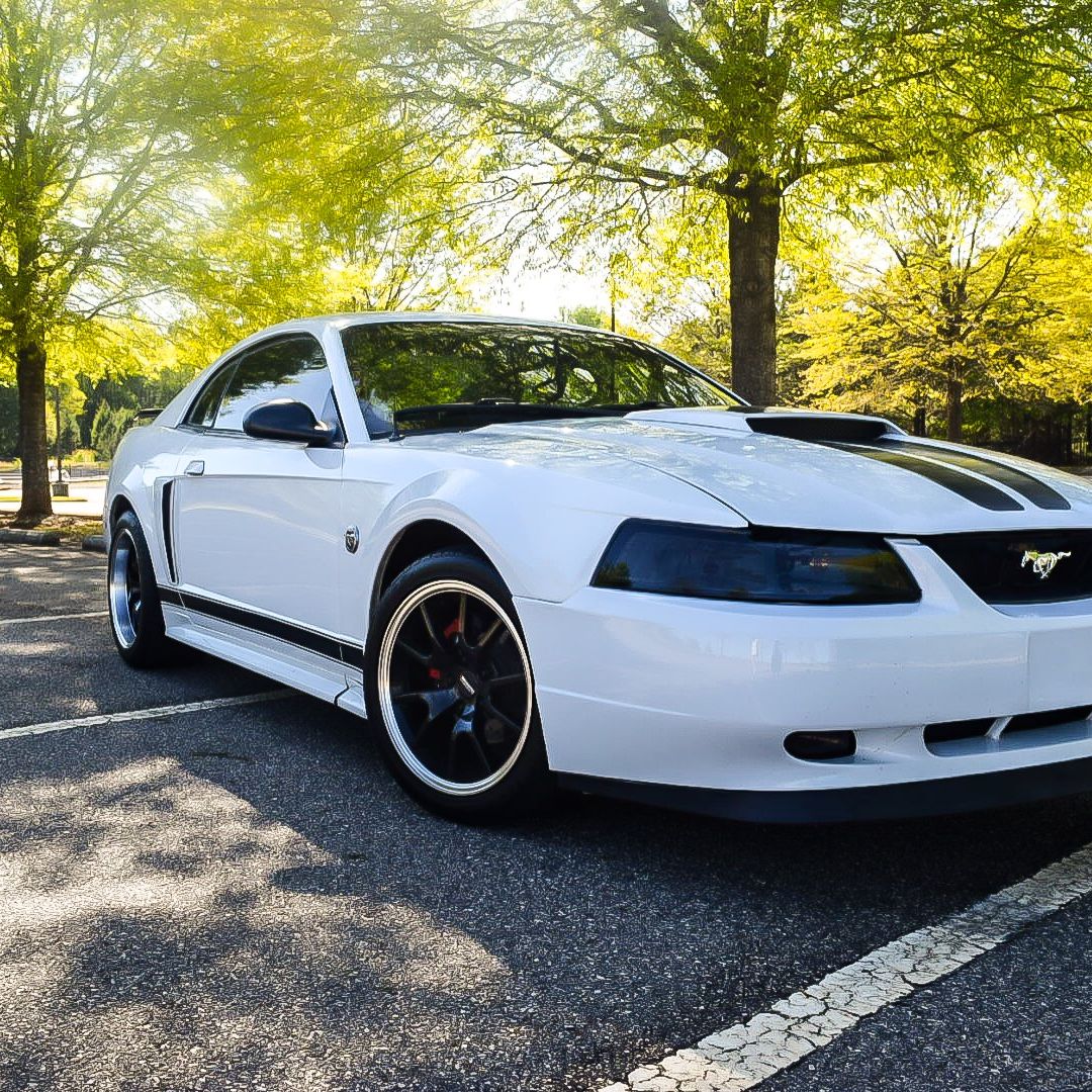 Profile of Austin Alewine