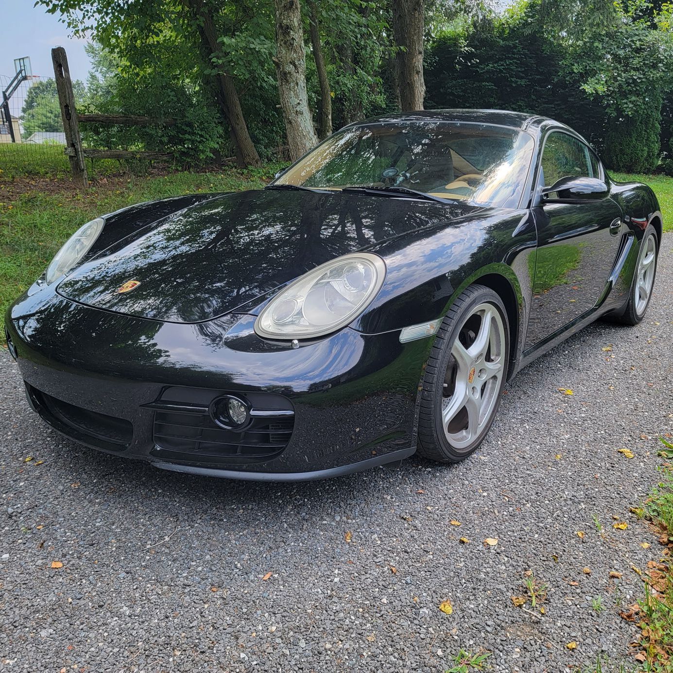 Profile of Jon Brashears