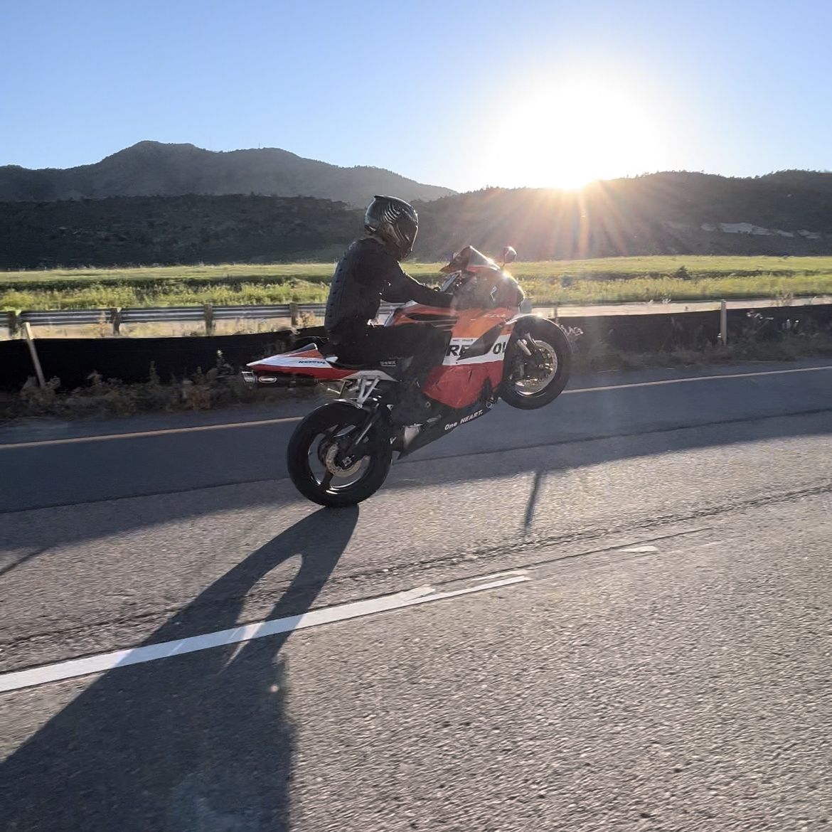 Profile of Martin Currat