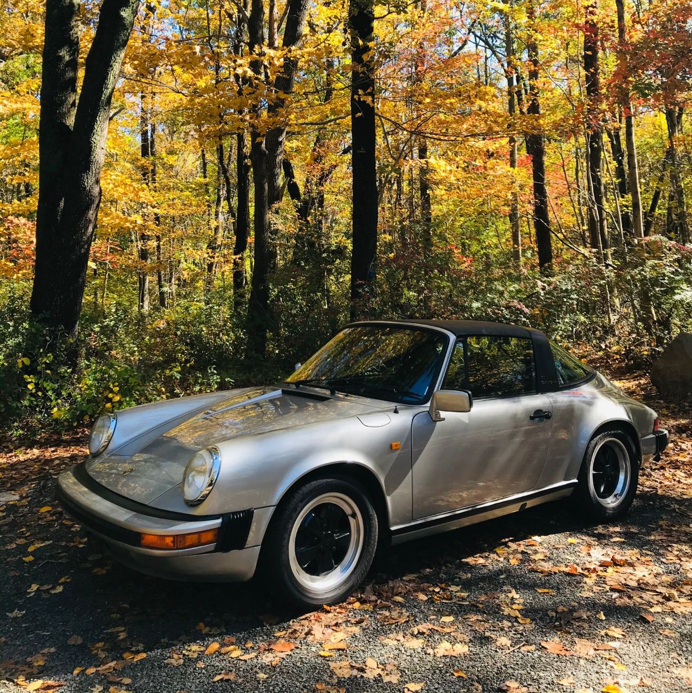 Profile of Noelle Talmon