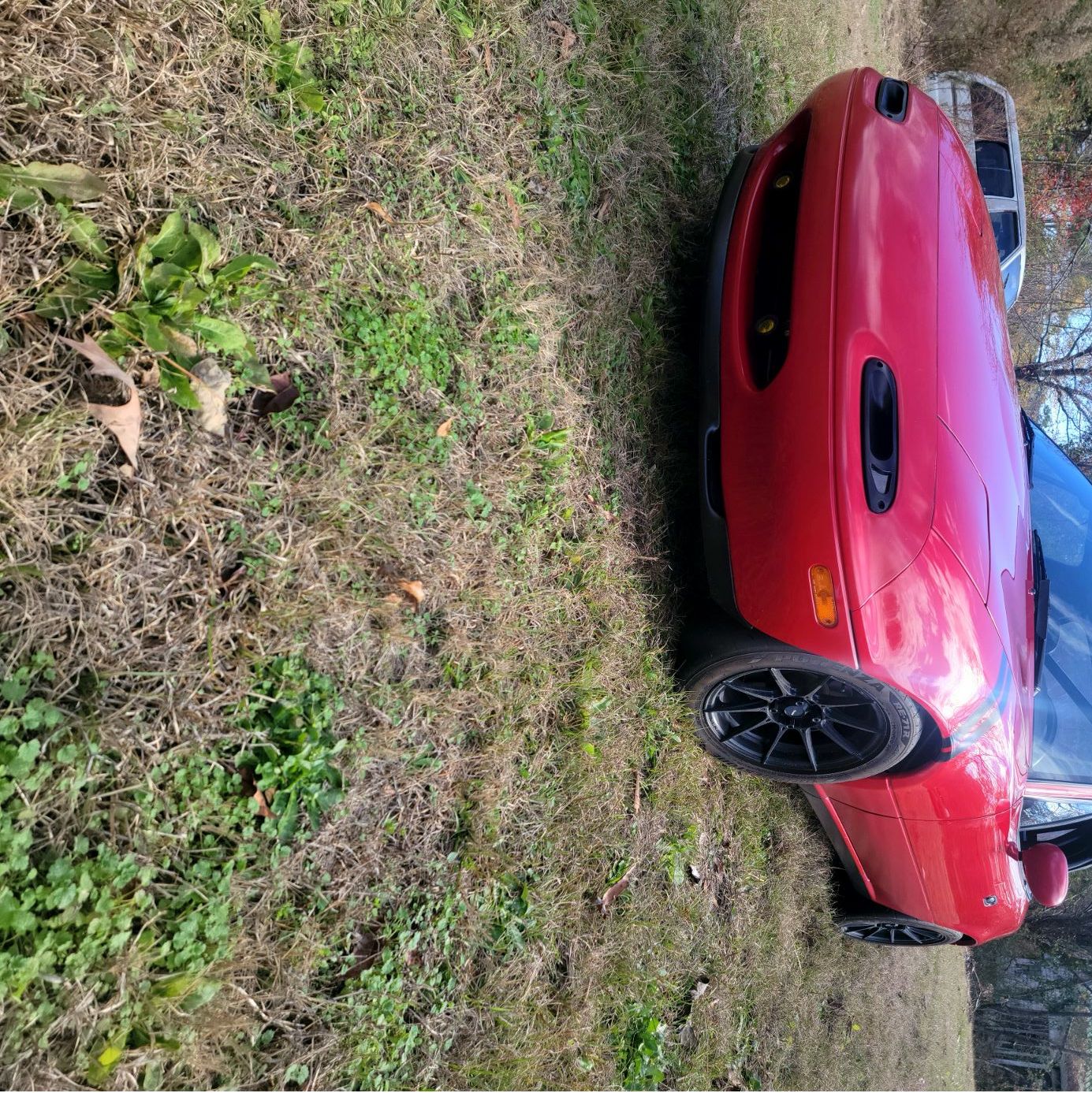 Profile of Matt Ford