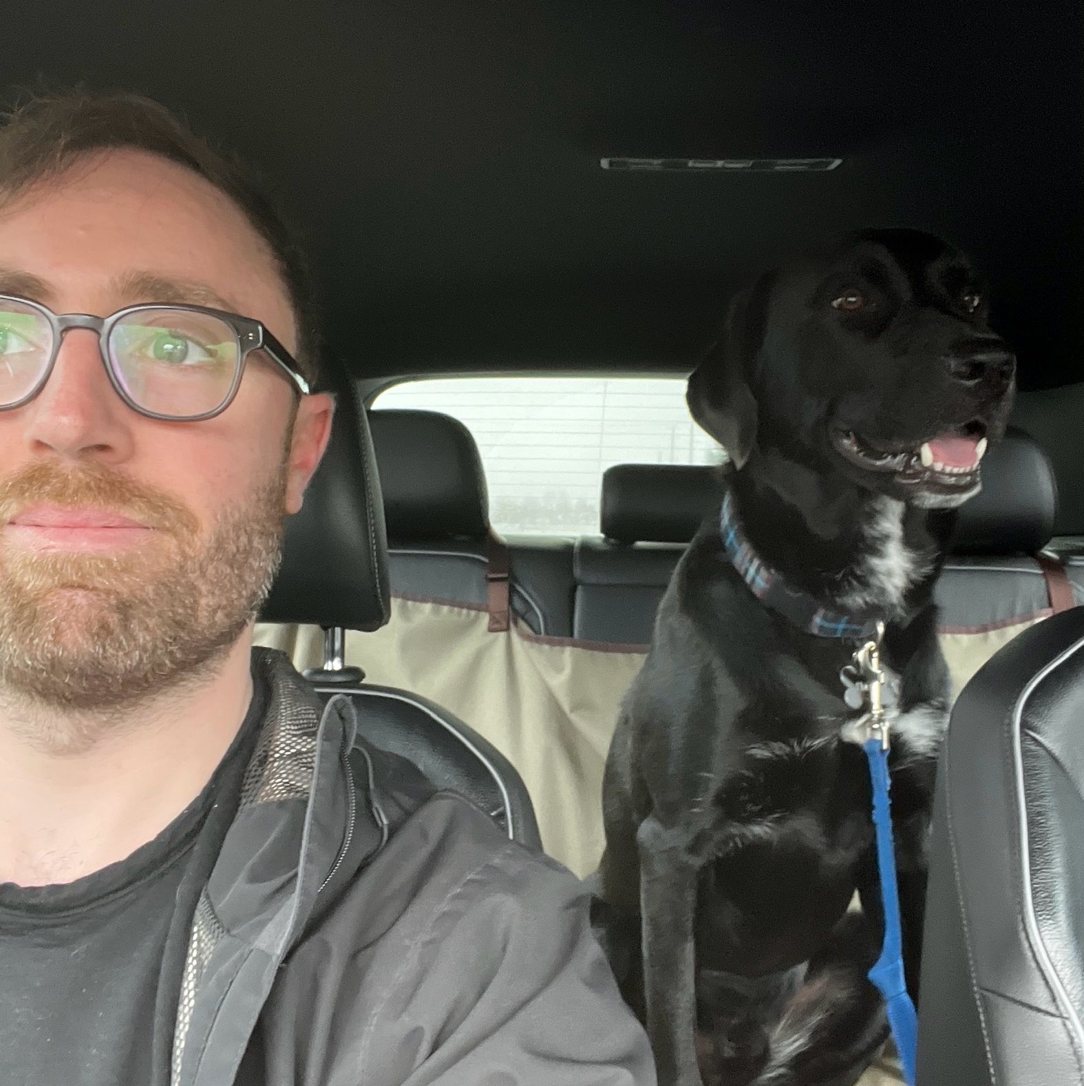 Profile of Tayler Clarke