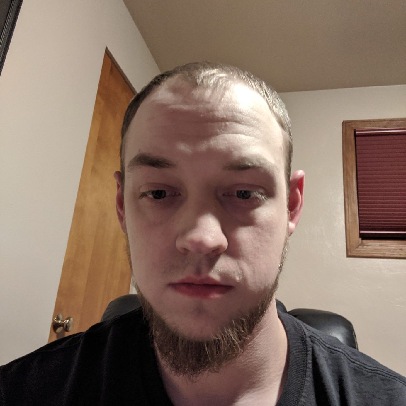 Profile of Cody Havash