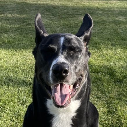 Profile of Spencer DeCoste