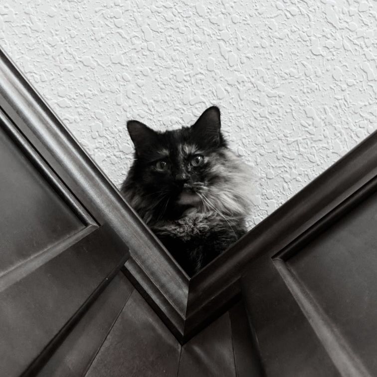 Profile of Lauren Weaver