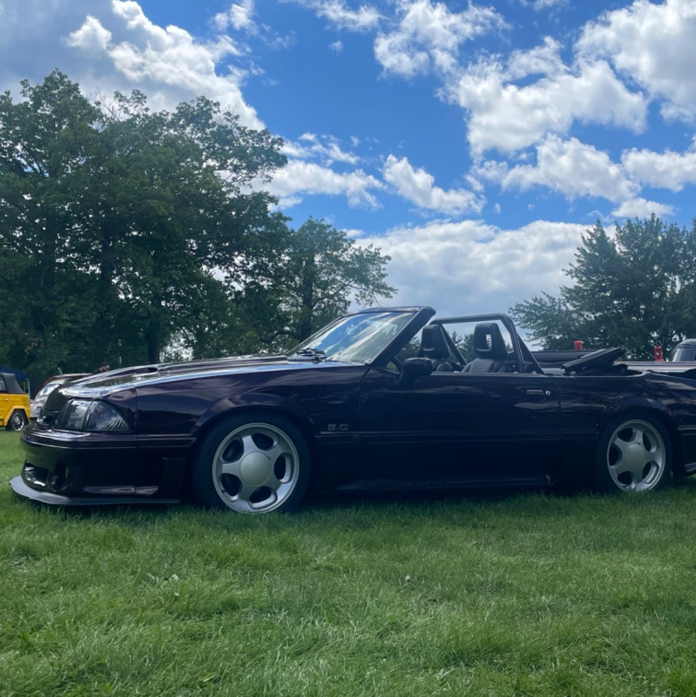 Profile of Giovan Pesce Jr.