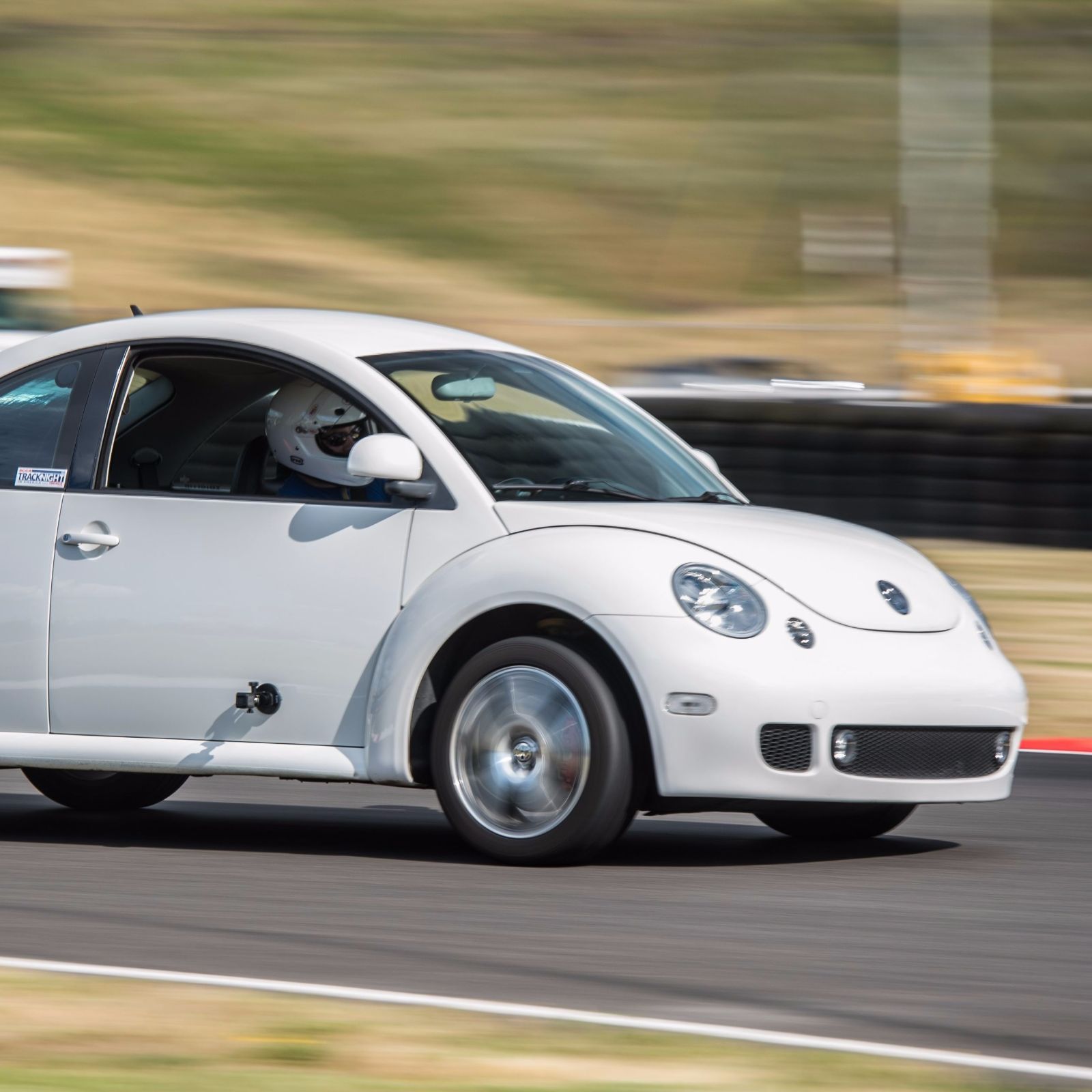 Profile of Brian Webber