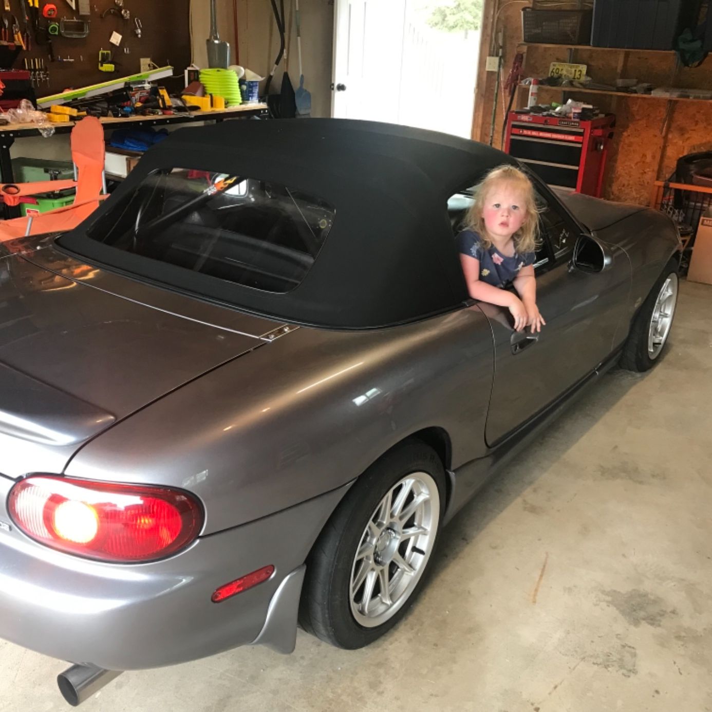 Profile of Gerald Geipel