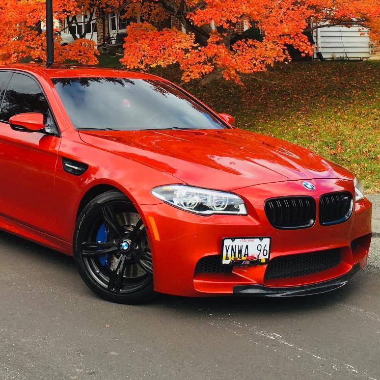 Profile of Andrei Trach