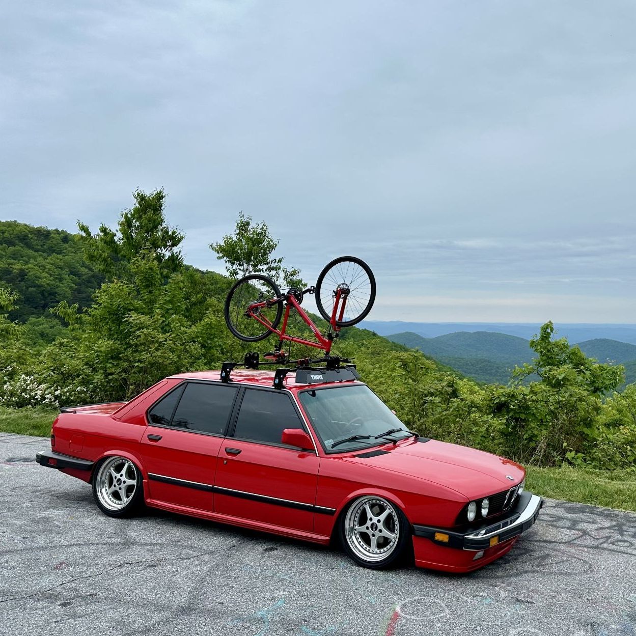 Profile of Aaron Wey