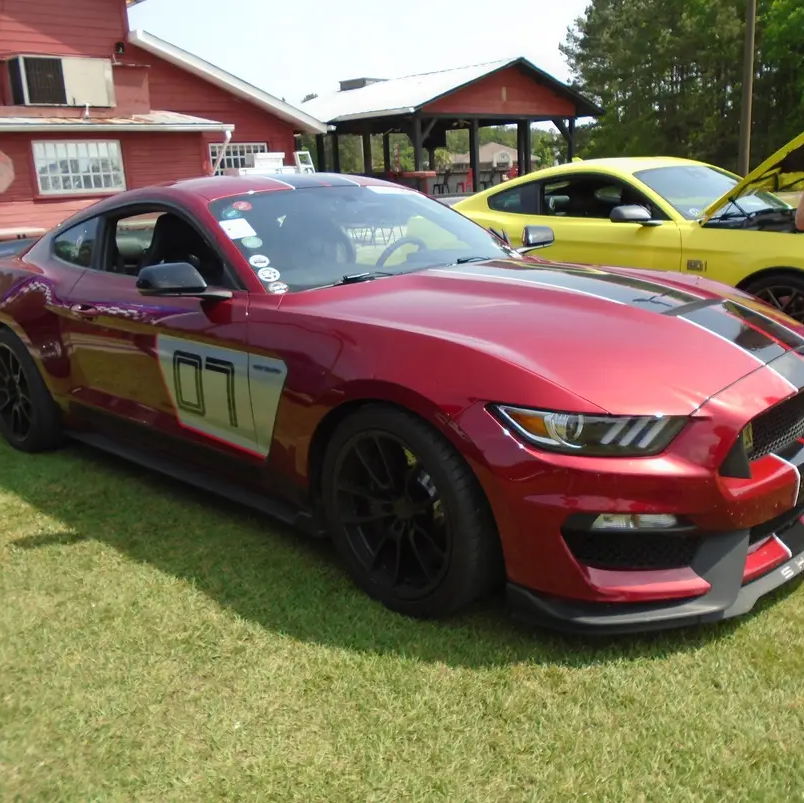 Profile of Teresa Coates