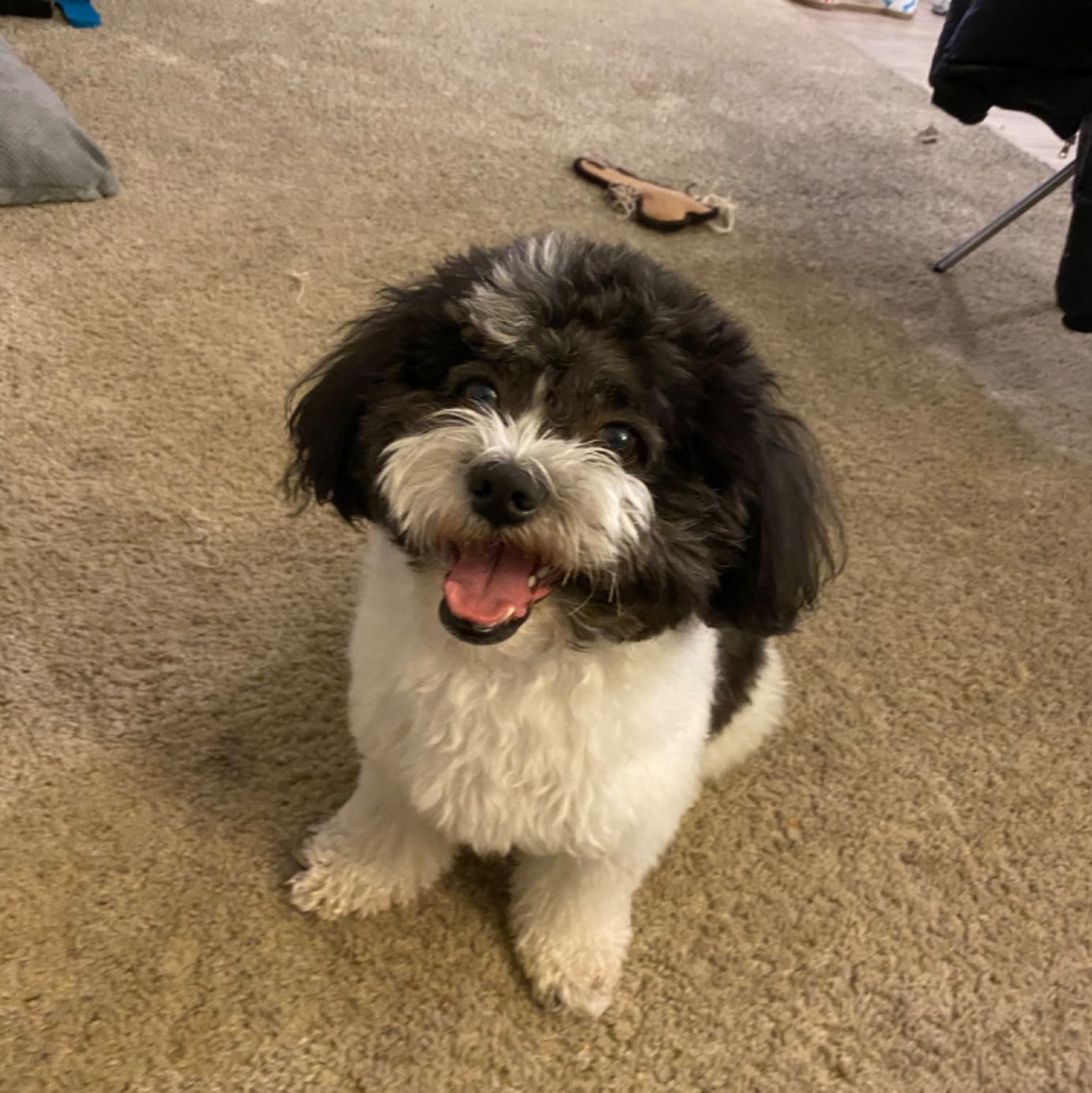 Profile of Jingtao Li