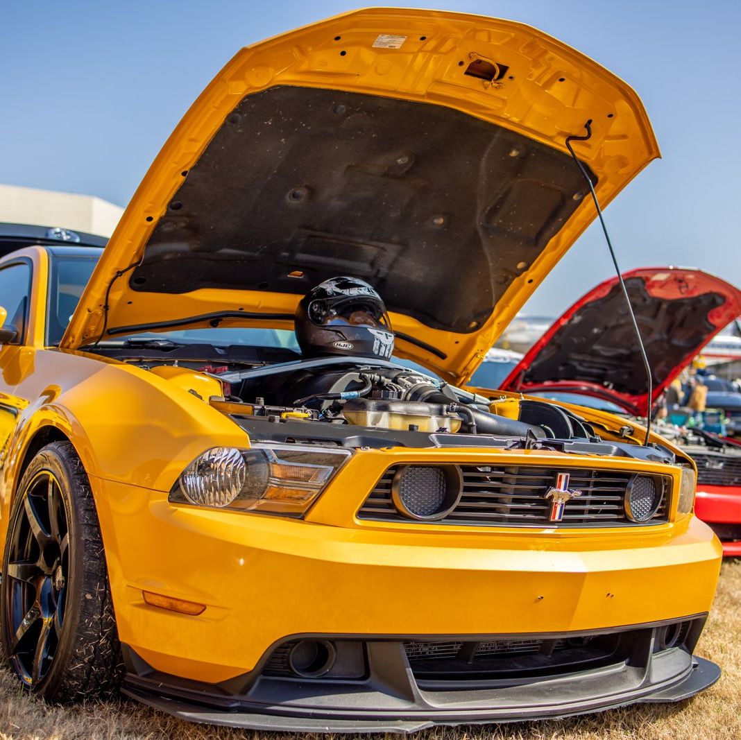 Profile of Shelby Siegmann