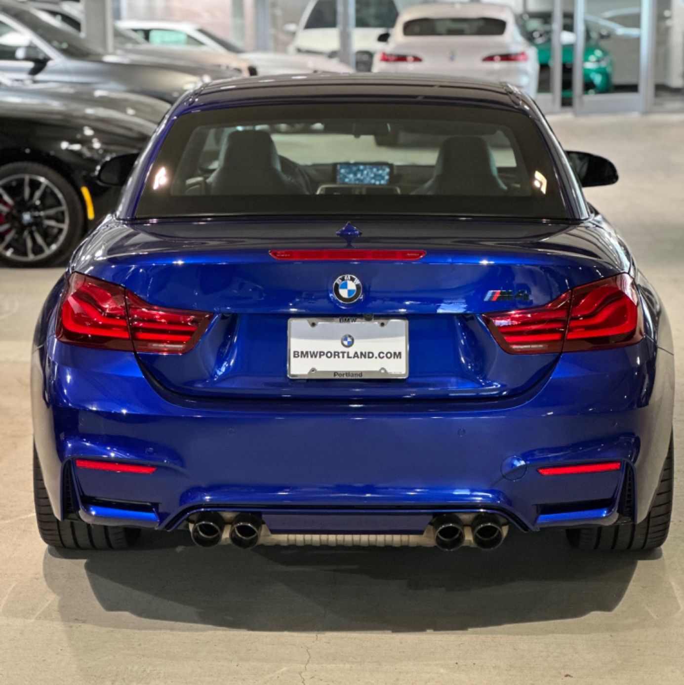 Profile of Anthony Marasco