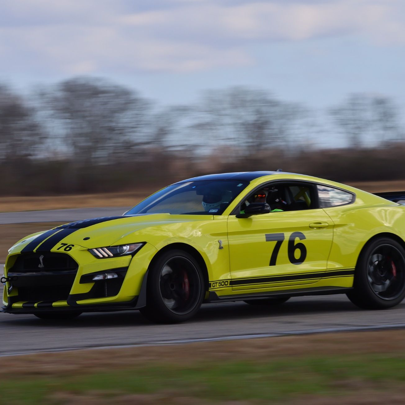 Profile of Perrin Roller