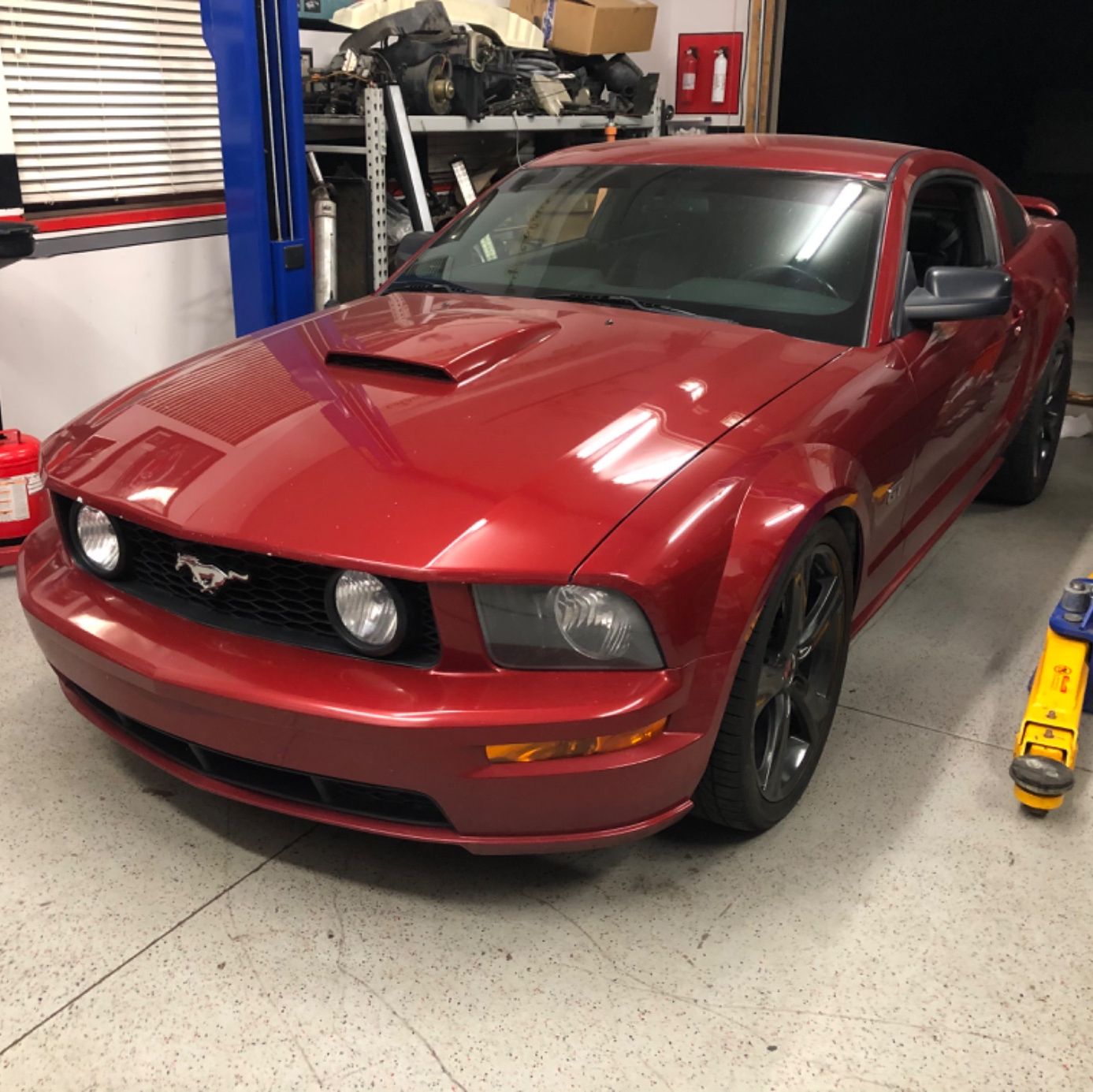 Profile of Cody Haacke