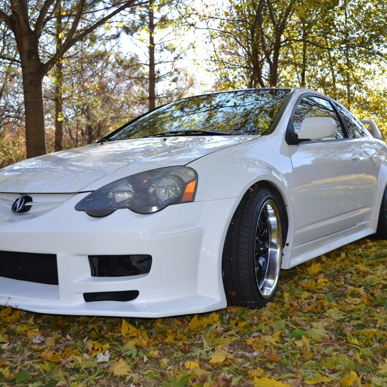 Profile of Antonio Defelice