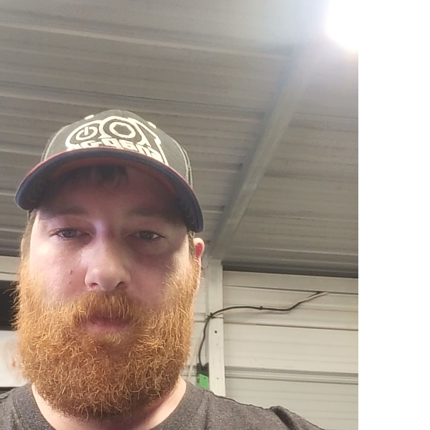 Profile of David Roche