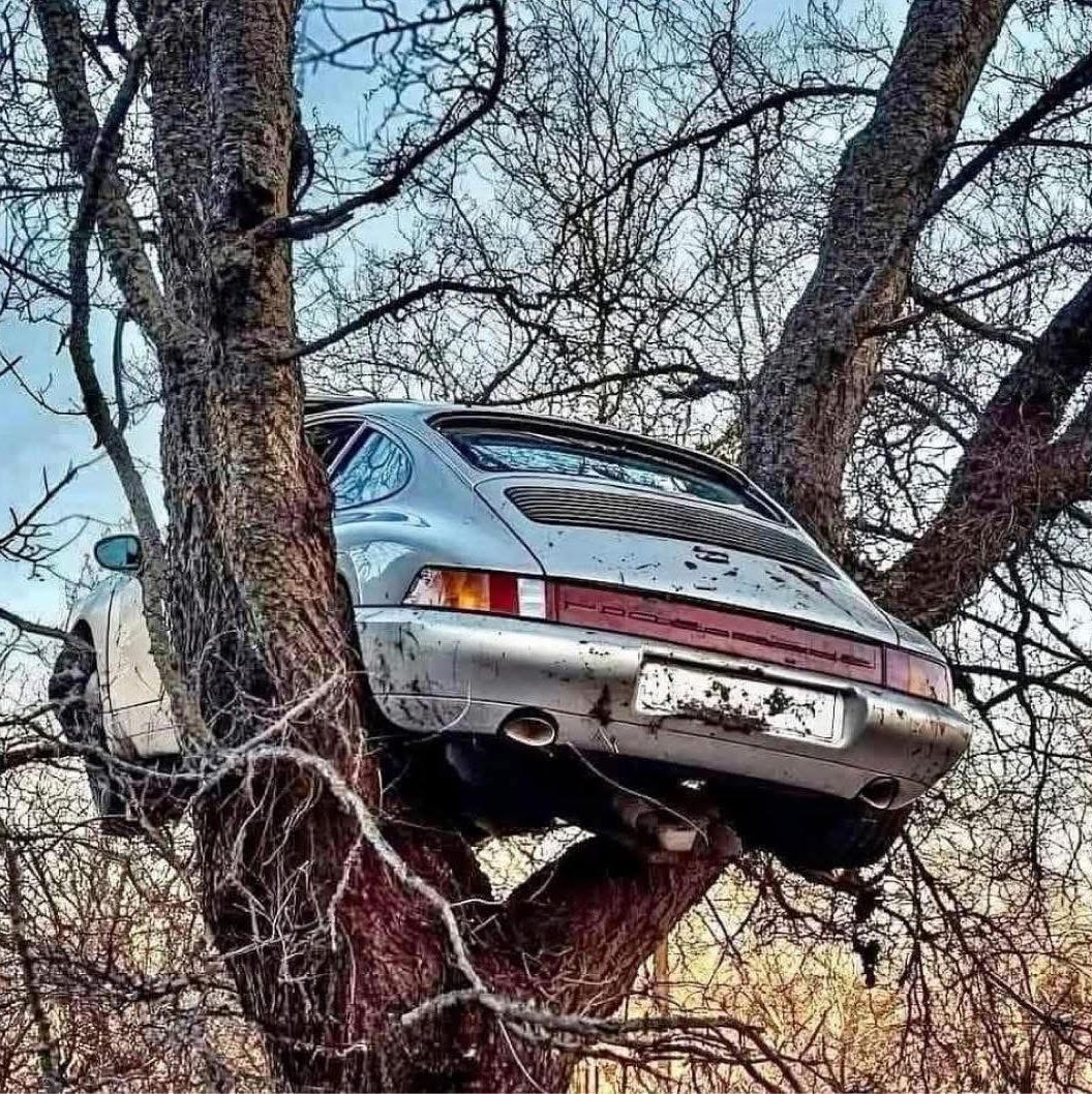 Profile of Ros De Giaxa