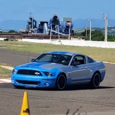 Profile of José Luis Castano