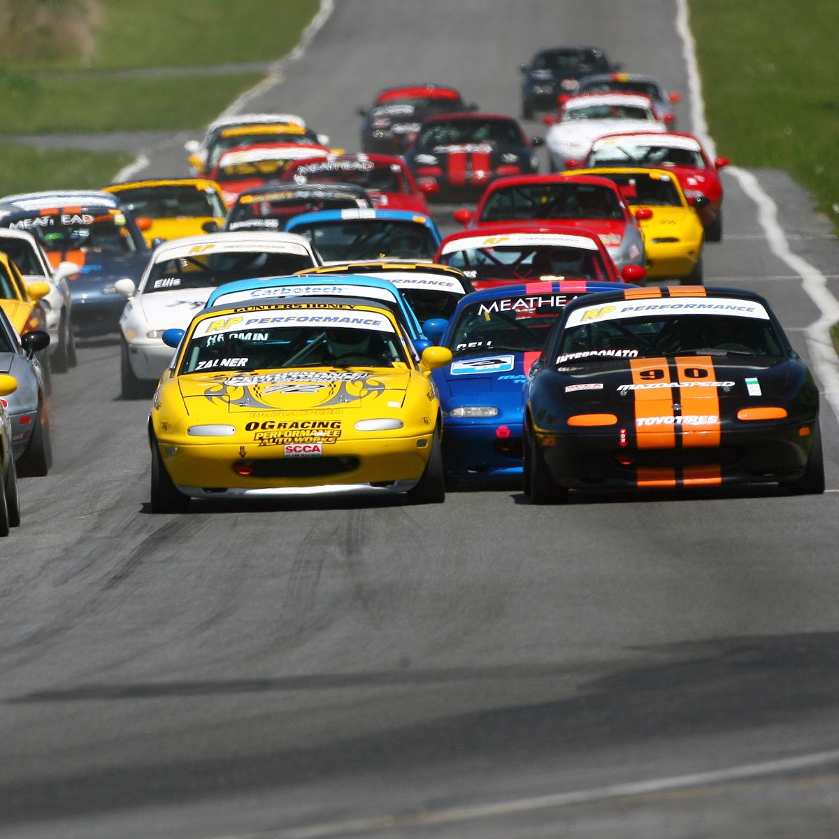 Profile of Louis Interdonato