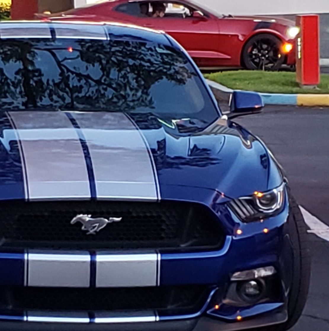 Profile of Chris Yeaton