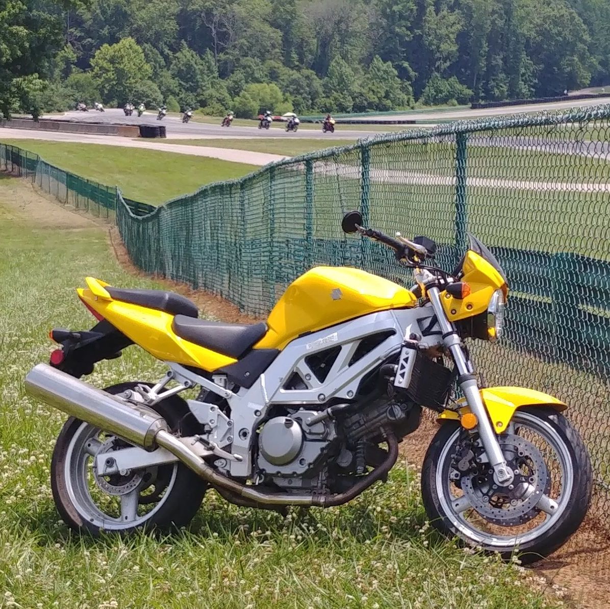 Profile of Robb Dixon