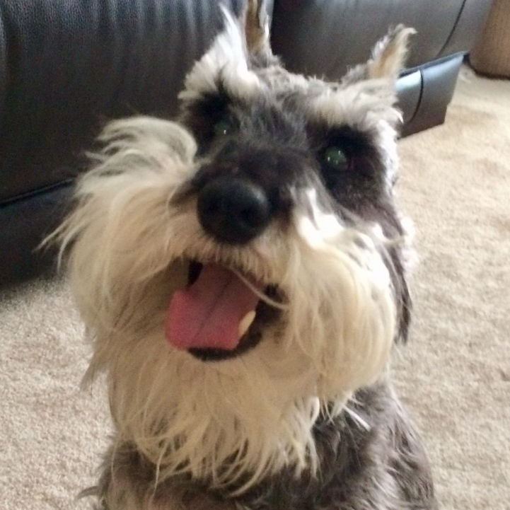 Profile of John SoCal Beach