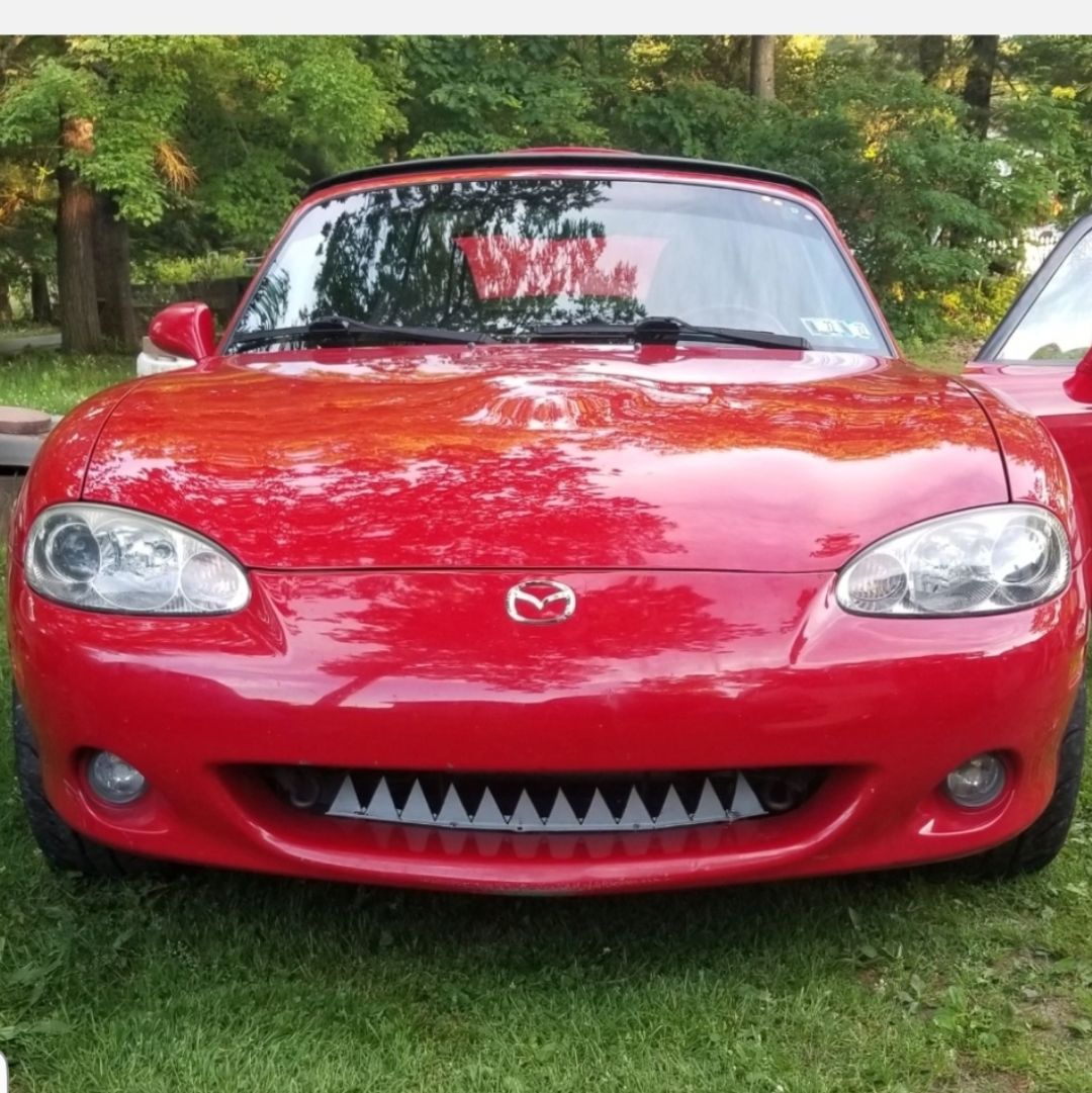 Profile of Bernard Makos