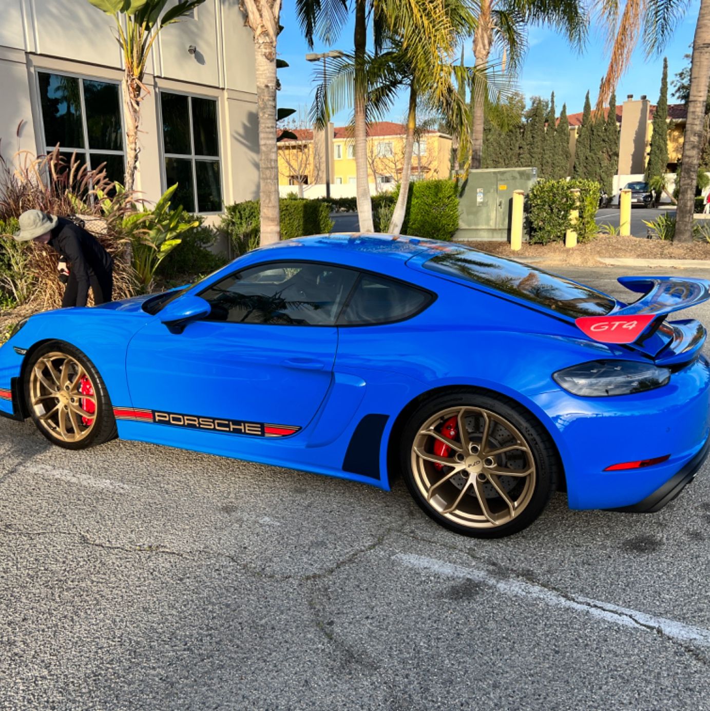 Profile of Denise Kilpatrick