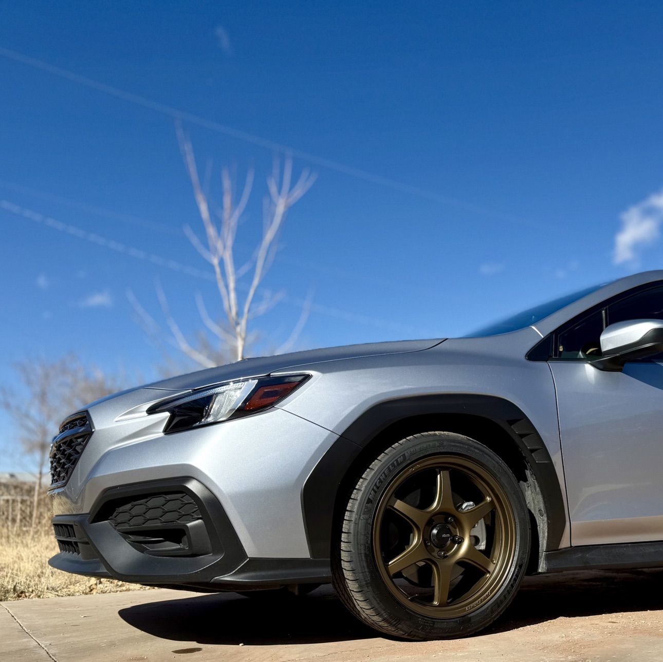 Profile of Matt Woody